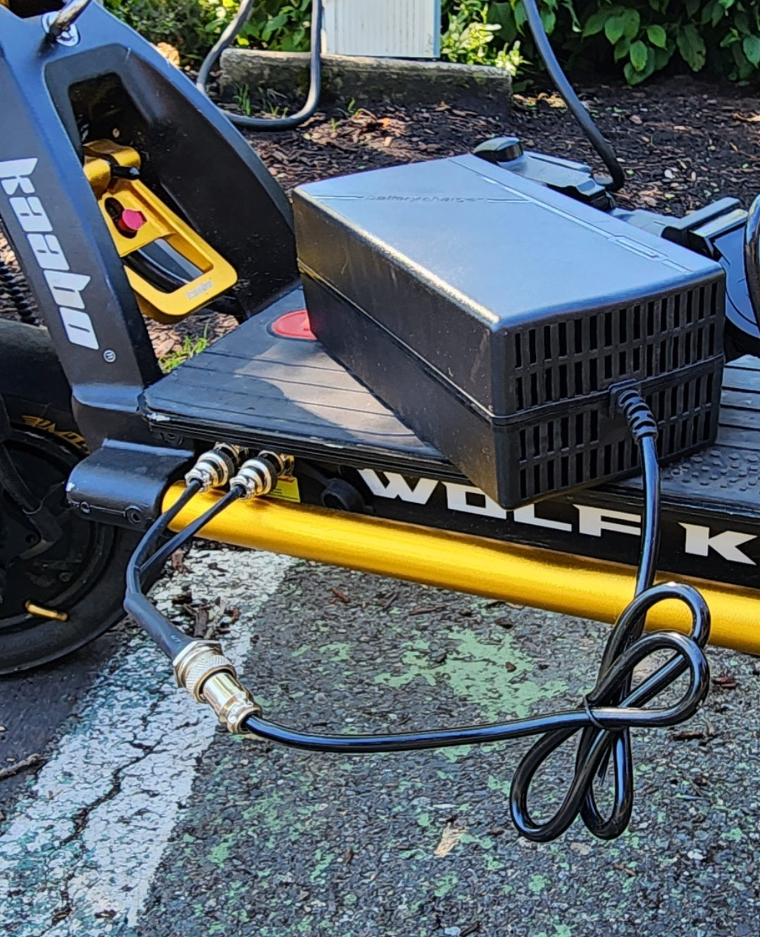 Screenshot_20230825_045258_Gallery